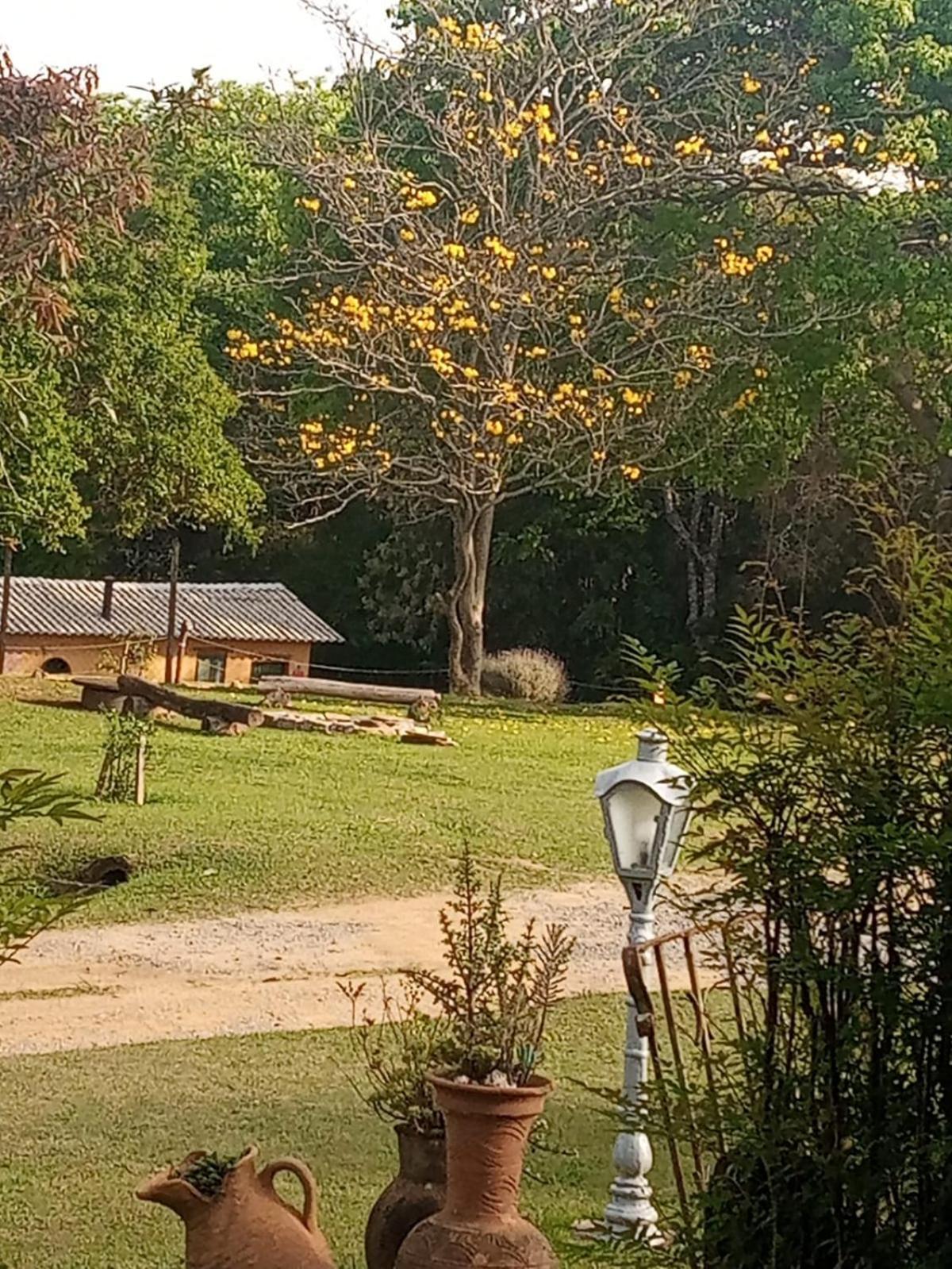 Pousada Sitio Da Terra E Arte São Roque エクステリア 写真
